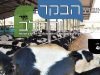 חוברת 401, ספטמבר 2019, ראש השנה התש"פ