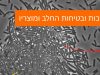 גישות חדשניות לשיפור איכות ובטיחות החלב ומוצריו