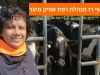 מנהלות במגפיים – שושי רז מנהלת רפת אפיק מיצר